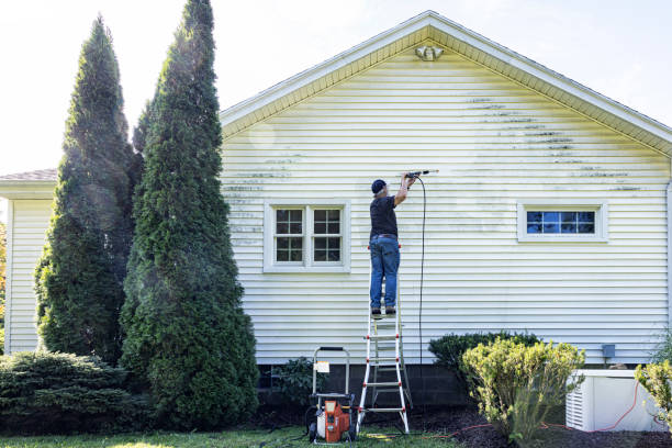 Best Gutter Cleaning  in Trainer, PA